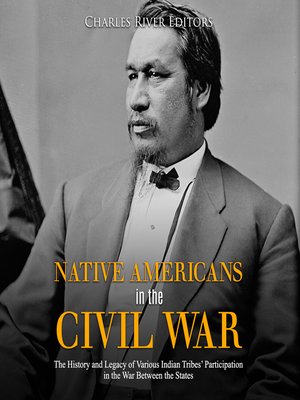 cover image of Native Americans in the Civil War